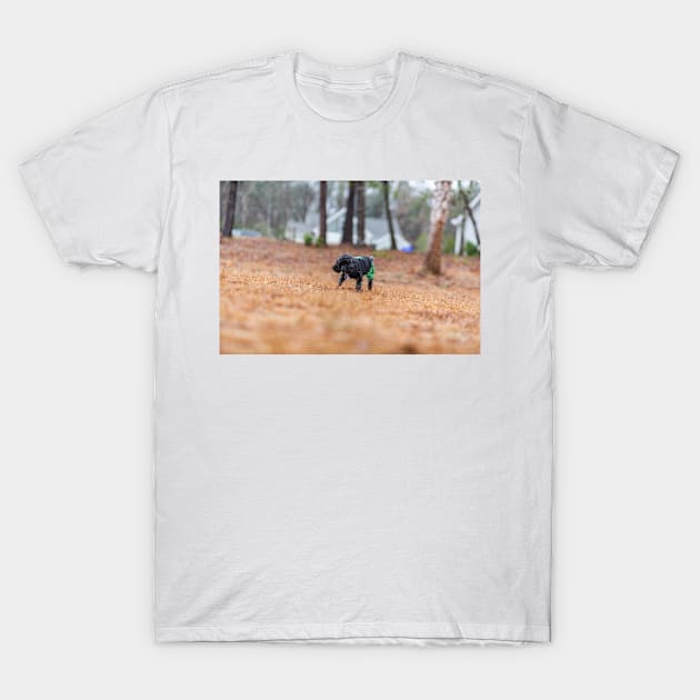 backyard wanderings T-Shirt by KensLensDesigns